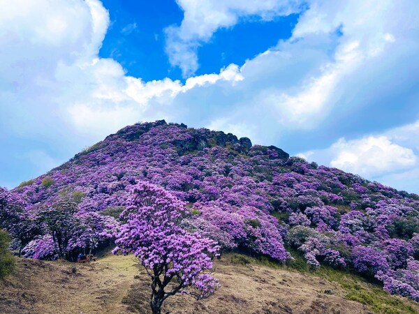 昆明轿子山风景区