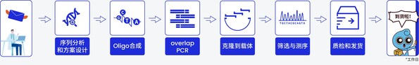 擎科生物基因合成流程图