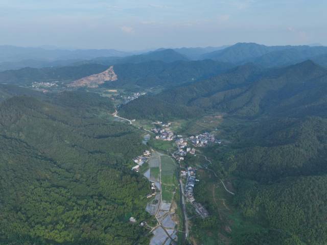 俯瞰新丰迷你小冬瓜种植基地。