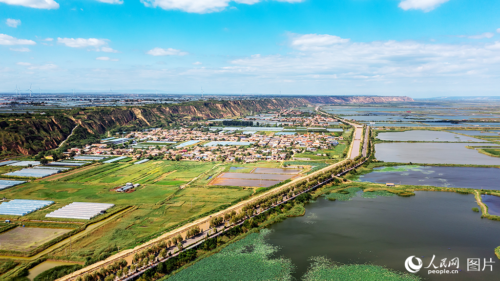 被誉为“多彩渔村”的陕西省渭南市大荔县范家镇华原村，地处黄河湿地核心区，毗邻沿黄公路 。村落依托十万亩湿地资源，形成渔业养殖、莲藕种植与乡村旅游融合的产业格局， 从传统渔村转型为集生态观光、文化体验、农业产业于一体的“童话渔村”，是渭北地区极具吸引力的乡村旅游目的地，也是陕西乡村振兴与文旅融合的典范之一。人民网记者 李志强摄