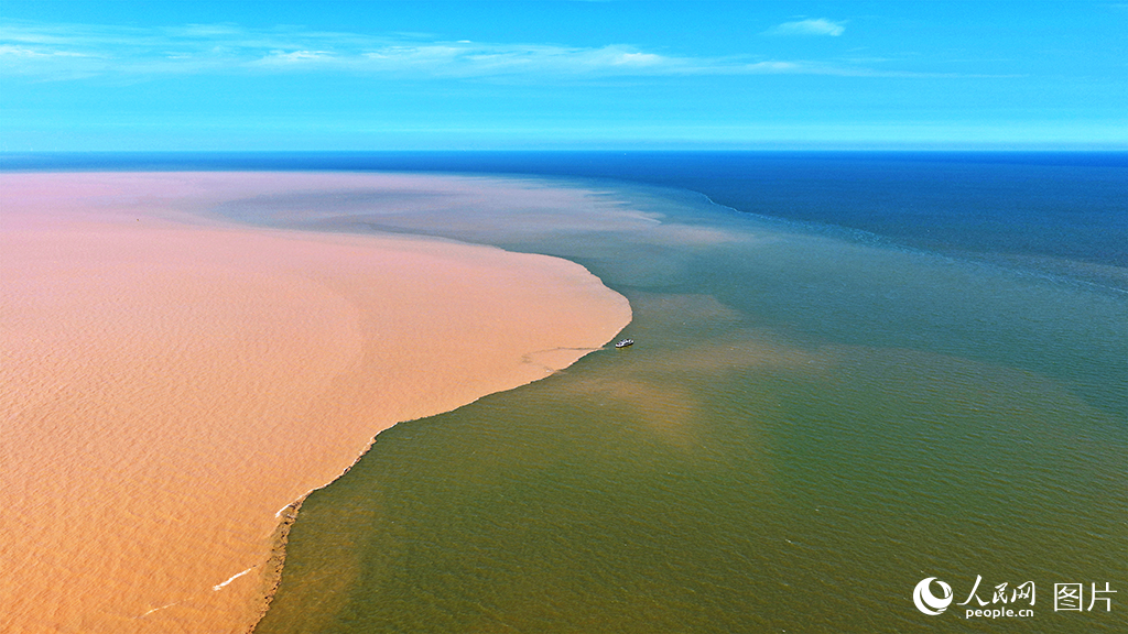 在山东东营黄河入海口，浑浊的黄河水与碧蓝的海水在此相拥，绘就“黄蓝交汇”的自然奇观。作为黄河流域生态系统的重要组成部分，黄河三角洲国家级自然保护区不仅承载着独特的河口湿地景观，更发挥着关键的生物多样性维护和滨海滩涂修复功能。近年来，东营市加大生态修复力度，通过实施退耕还湿、湿地补水等一系列措施，持续改善河口生态环境。如今，这里已成为众多珍稀鸟类的重要栖息地，实现了生态保护与区域发展的协调统一。人民网记者 刘祺 摄