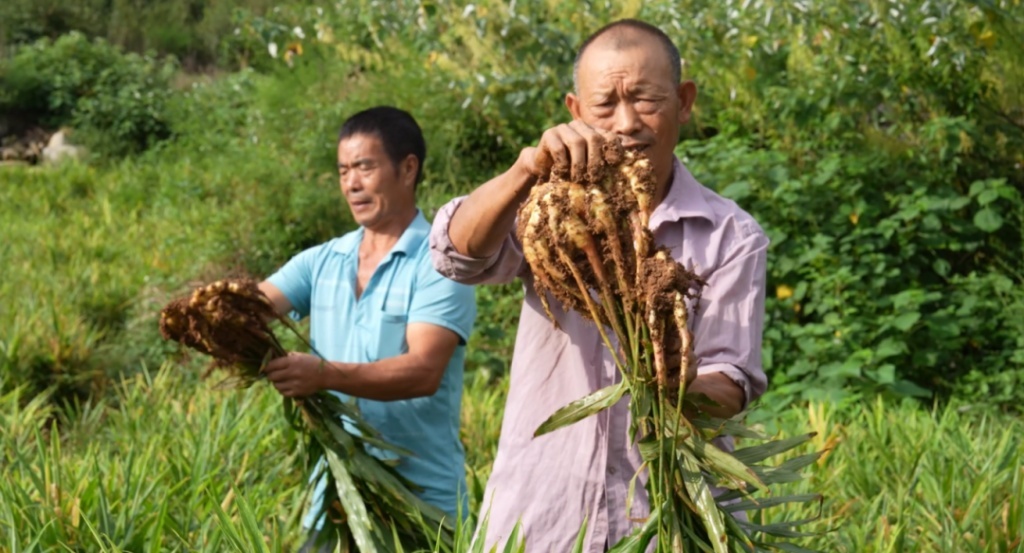 微信图片_2025-10-28_083941_752.png 微信图片_2025-10-28_083941_752.png