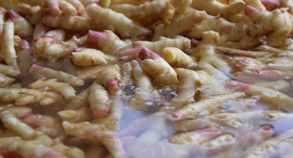 微信图片_2025-10-28_083947_945.png 微信图片_2025-10-28_083947_945.png