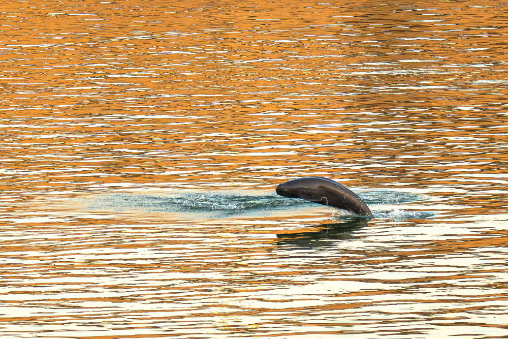 bbe6aace-20ef-42f6-a33d-b459fe07ebd1