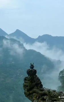 微信截图_20250530104059