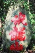 微信截图_20250718155544