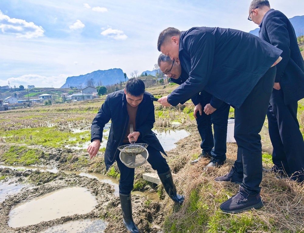 图片2_副本 图片2_副本