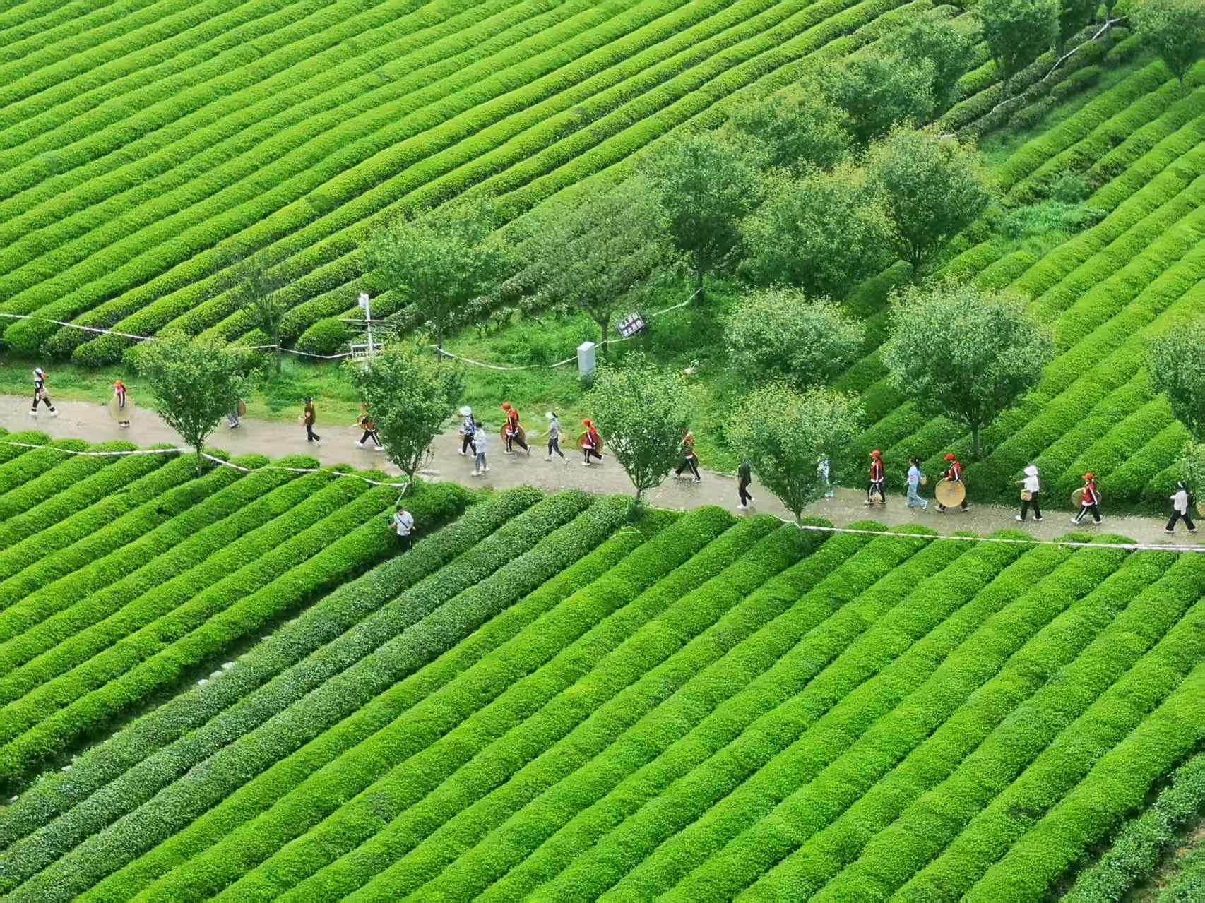 99327df0d1cb7c3df7480ff897e4c95b